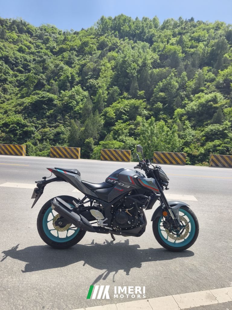 Yamaha MT-03 320 cc - მოტოციკლი ჩინეთიდან
