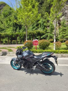 Yamaha MT-03 320 cc - ფოტო 2