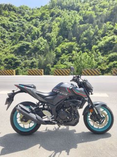 Yamaha MT-03 320 cc - ფოტო 3