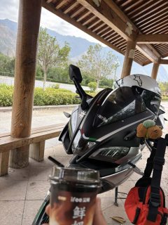 Zongshengapuliya GPR250R - фото 1