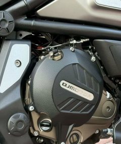 QJMOTOR 700 - ფოტო 4