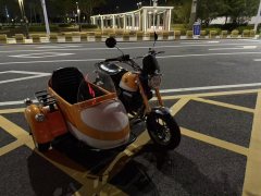 Stoner Monkey 125 Sidecar - ფოტო 3