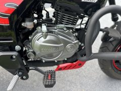 Zongshen Little Bear 150 cc - ფოტო 10