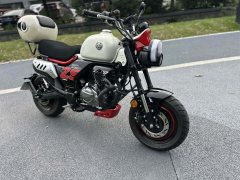 Zongshen Little Bear 150 cc - ფოტო 2