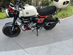 Zongshen Little Bear 150 cc - ფოტო 7