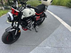 Zongshen Little Bear 150 cc - ფოტო 8
