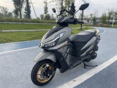 Dayang VRS150 - фото 4