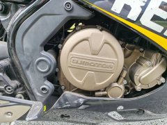 QJMOTOR SRK 250 - ფოტო 5