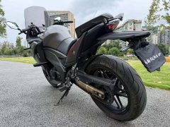 Cyclone RG401 400 cc - ფოტო 4