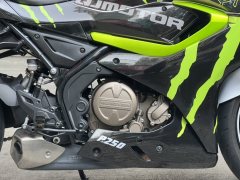 QJMOTOR SRK 250 - ფოტო 3