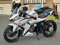 QJMOTOR SRK 250 - ფოტო 3