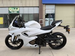 QJMOTOR SRK 250 - ფოტო 2