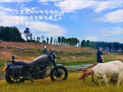 Cyclone RA2 250 cc - ფოტო 2