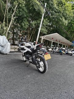 CFMOTO 450SR - ფოტო 3