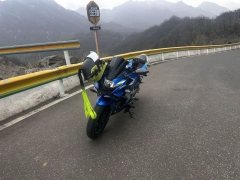 Haojue Suzuki GSX250R - photo 2