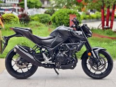 Yamaha MT-03 320 cc - ფოტო 2