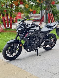 Yamaha MT-03 320 cc - ფოტო 7