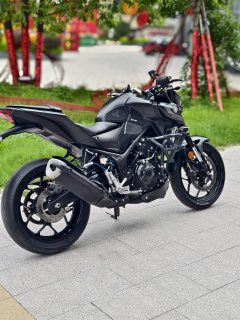 Yamaha MT-03 320 cc - ფოტო 9
