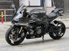 QJMOTOR Race 800 - ფოტო 8