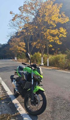 Kawasaki Z500 450 cc - ფოტო 3