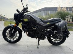 Benelli Leoncino 250 - ფოტო 6