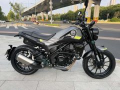 Benelli Leoncino 250 - ფოტო 8