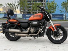 QJMOTOR Flash 300 - ფოტო 5