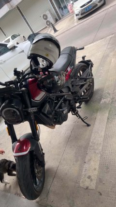 Benelli Leoncino 250 - ფოტო 2