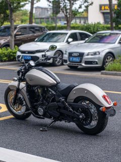 Indian Scout 1200 cc - ფოტო 6