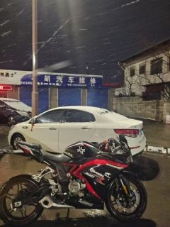 Voge 300RR - ფოტო 8
