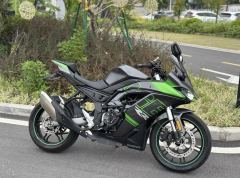 Voge 250RR - ფოტო 1
