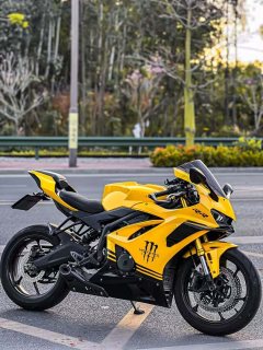 Kayo 450RR - ფოტო 1