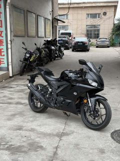 Yamaha YZF-R3 320 cc - ფოტო 4