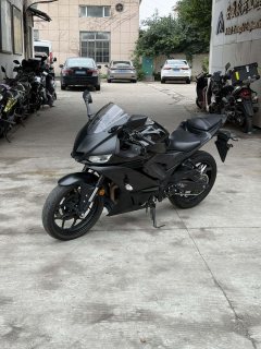 Yamaha YZF-R3 320 cc - ფოტო 5