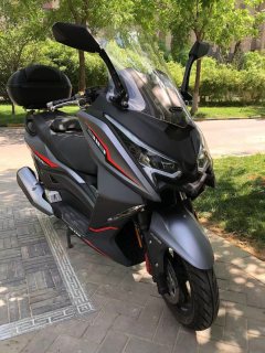 Ariic 318T 250 cc - ფოტო 2