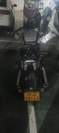 Benda Polestones 03 Gray 300 cc - photo 3