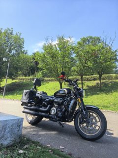Voge CU250 - ფოტო 3