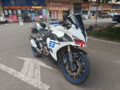 QJMOTOR Sai 450 - photo 1