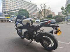 QJMOTOR Sai 450 - photo 4