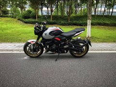 Triumph Trident 800 - ფოტო 5
