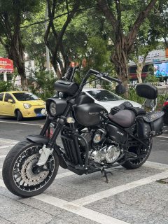 Leike RX3 250 cc - ფოტო 2