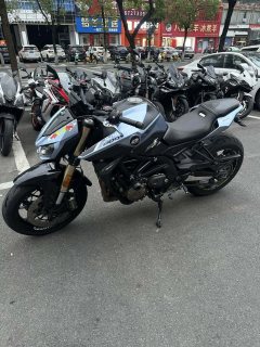 QJMOTOR Chaser 600 - ფოტო 2