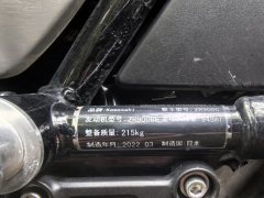 Kawasaki Z900RS 950 cc - ფოტო 6