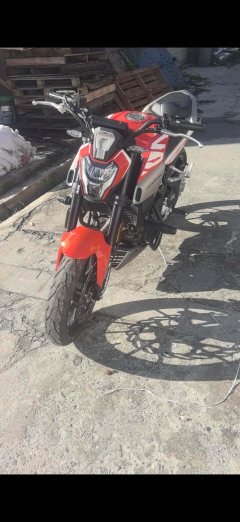 Kayo Cobra 321R 320 cc - ფოტო 2