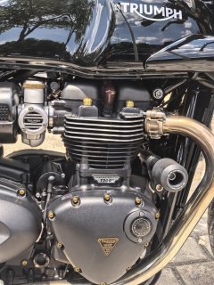 Triumph Thruxton 865 cc - photo 6