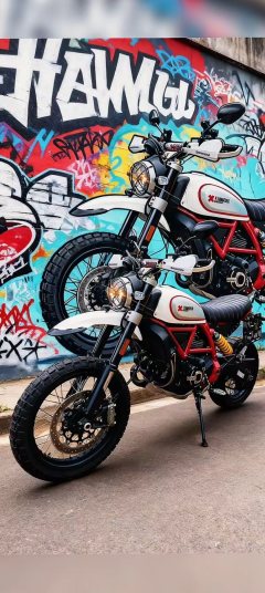 Ducati Scrambler Urban Enduro 800 cc - ფოტო 1