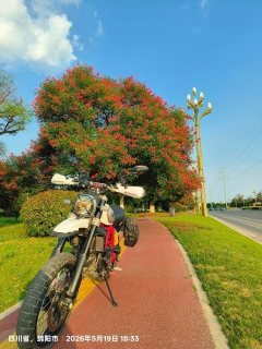 Ducati Scrambler Urban Enduro 800 cc - ფოტო 8