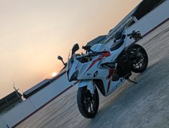 QJMOTOR SRK 250 - photo 2