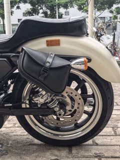 Harley-Davidson 883L SuperLow - ფოტო 8