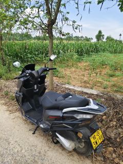 Pojie X2 150 cc - photo 2
